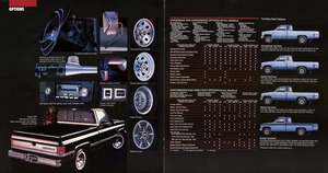 1985 Chevrolet Full-Size Pickups-12-13.jpg
